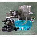 BISON CHINA TaiZhou 2.5hp Gasoline Outboard Engine In China Air Cooled Gasoline Motor